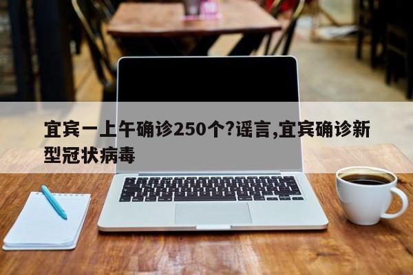 宜宾一上午确诊250个?谣言,宜宾确诊新型冠状病毒